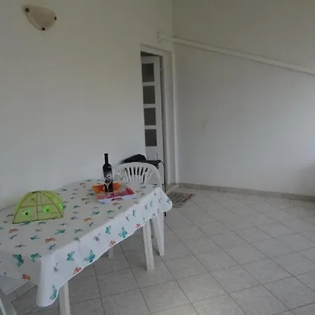 Zita - 50 M From Sea